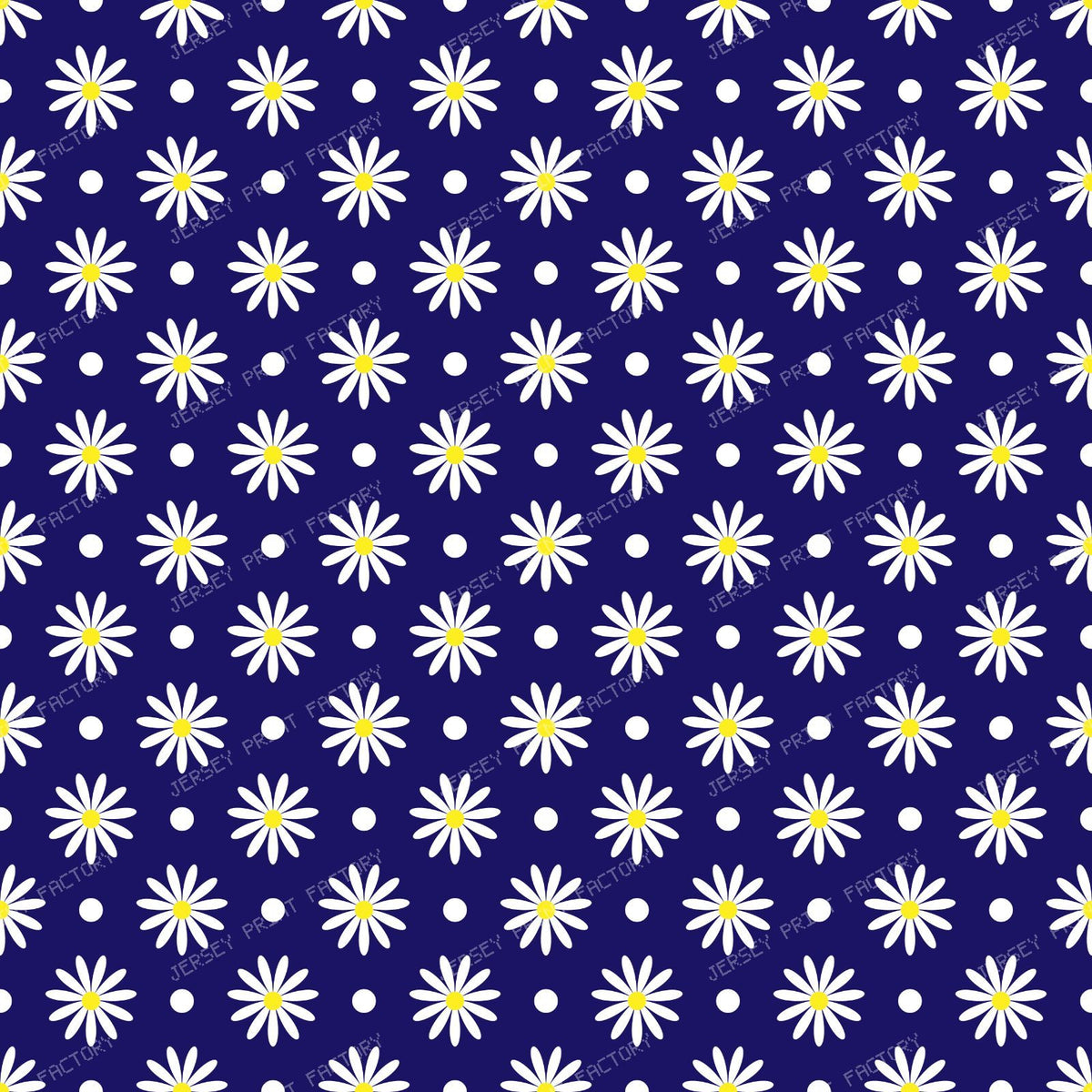 White Daisies, Daisy Flowers, Pattern Of Flowers, Dots