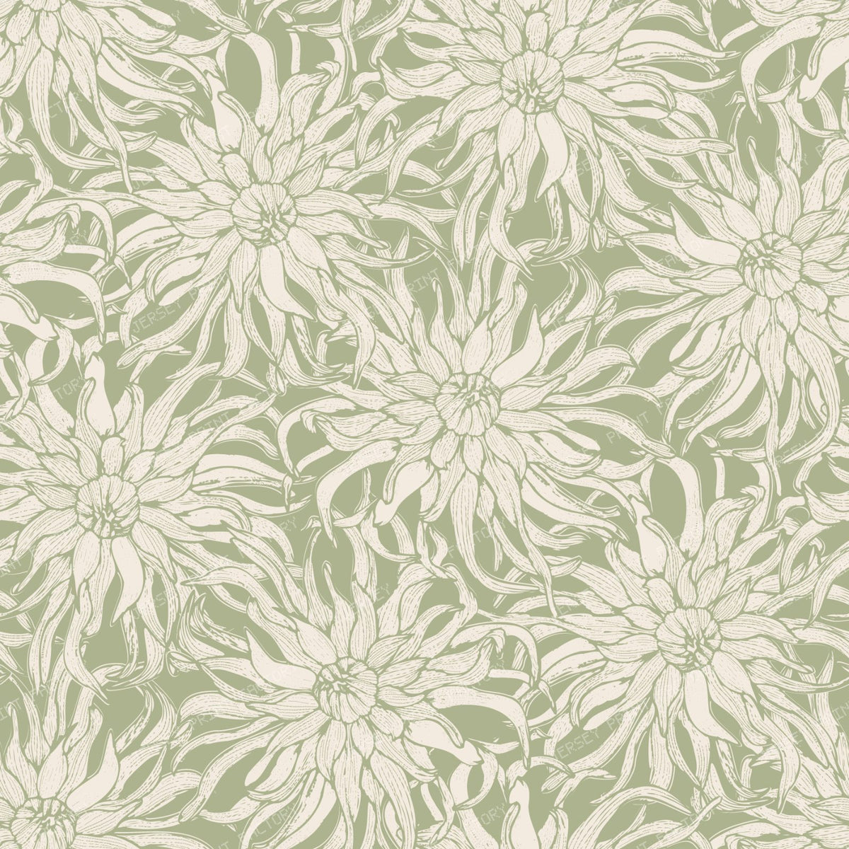 Moody Cactus Dahlia Line Art Vintage Botanical Floral — Sage Green