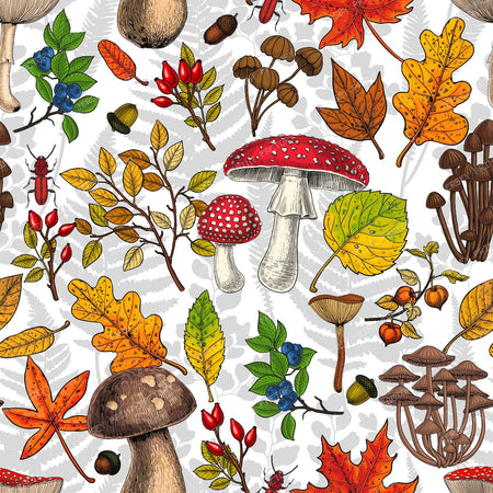 Autumn mushrooms, leaves, nuts and berries on dark brown — on white