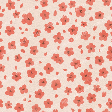 Sakura Cherry Blossom Flowers and Petals on Cream