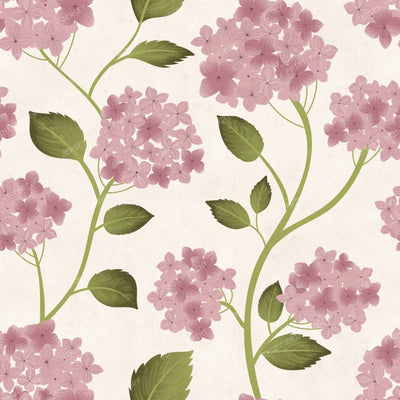 Blue Hydrangea Botanical — Pink