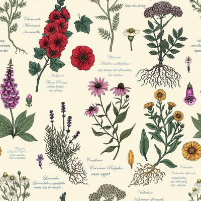 Medicinal Garden Herbarium