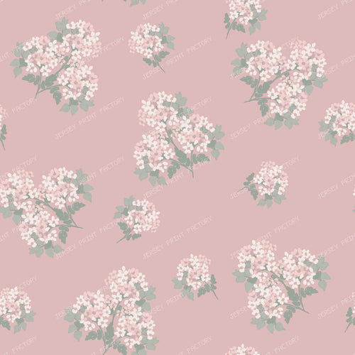 Delicate Hydrangea Botanicals — Pink
