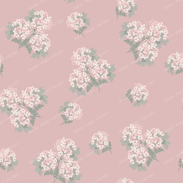 Delicate Hydrangea Botanicals — Pink