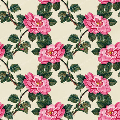 Pink Roses, Wild Roses, Pink Flowers, Floral Pattern, Boho — Pink 2