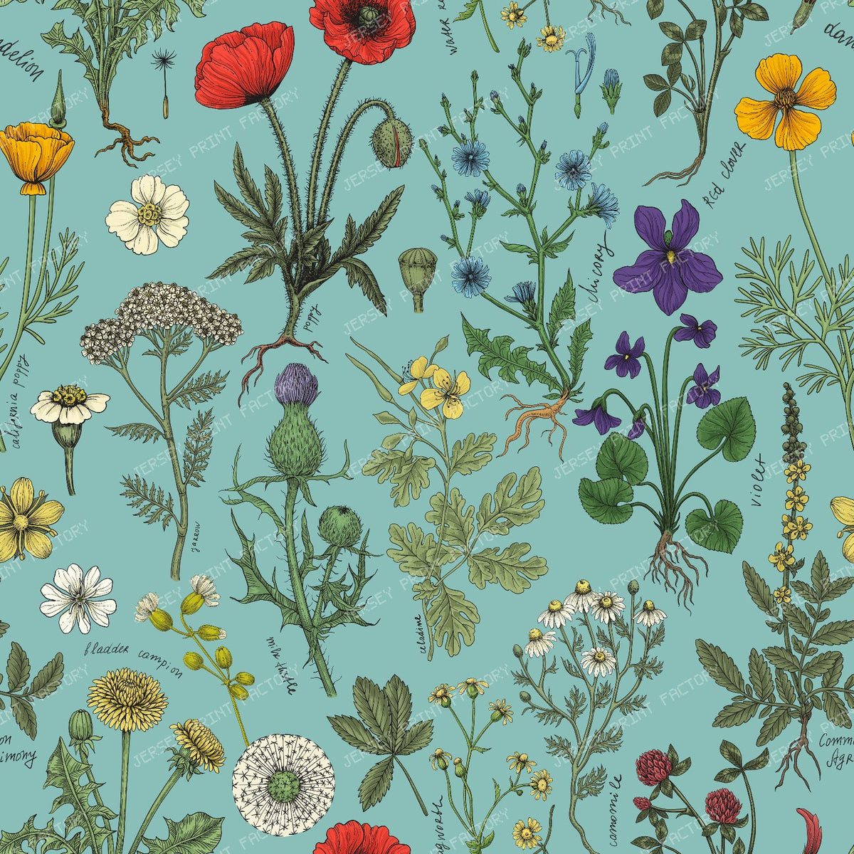 Wildflowers collage on pool blue