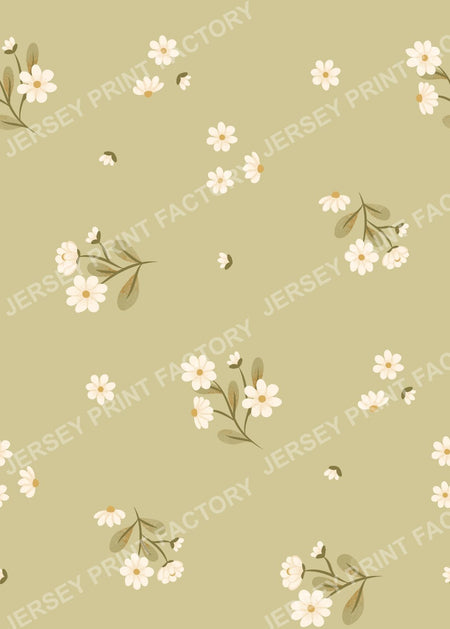 Coffe Meerkats Collection | Spring Flowers