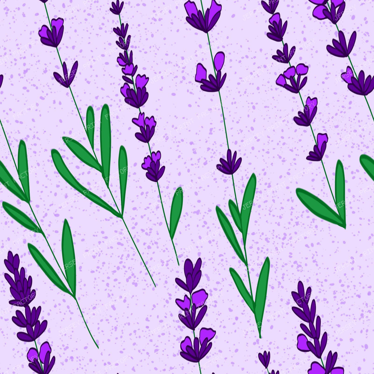 Lavander