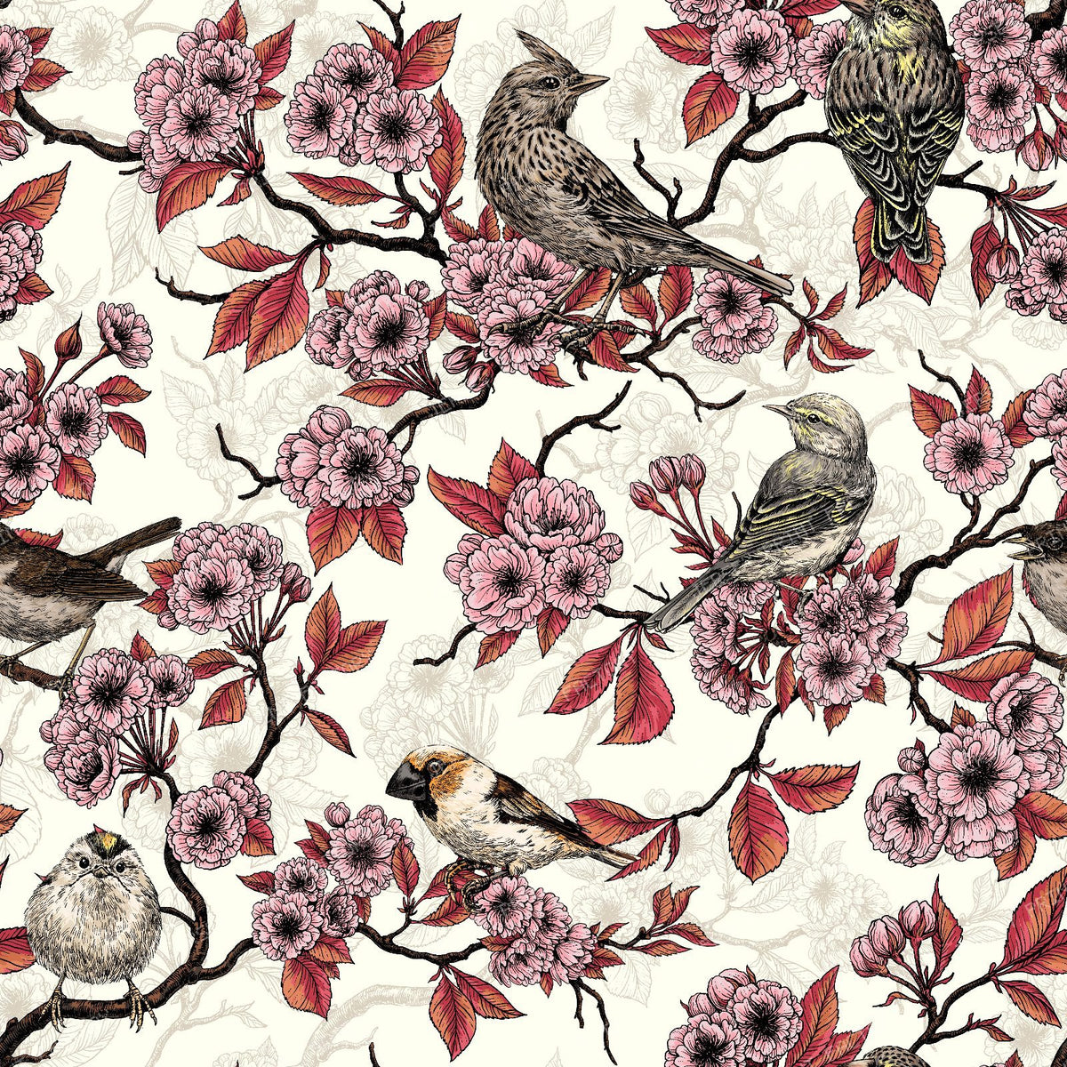 Birds and cherry blossom on white — on ivory