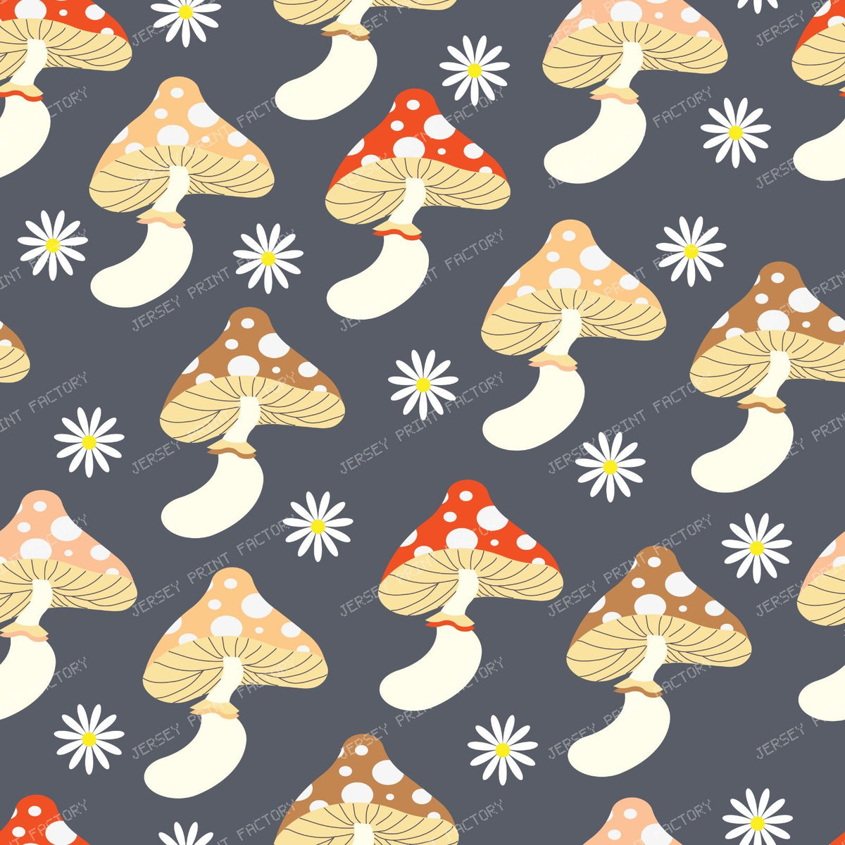 Colorful Mushrooms, Spotted Mushrooms, Daisy Flowers