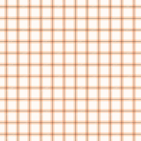 Gingham Cheerful — Gingham Peach