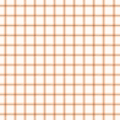 Gingham Cheerful — Gingham Peach
