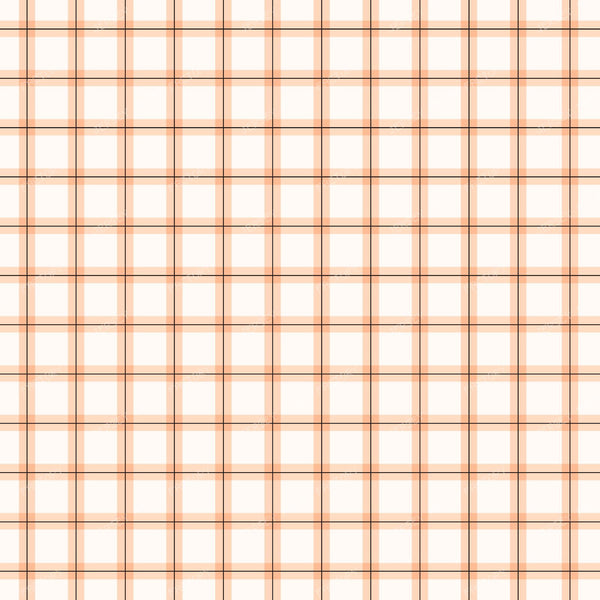 Gingham Cheerful — Gingham Peach