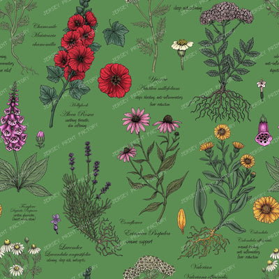 Medicinal Garden Herbarium — on kelly green