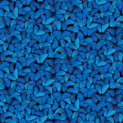 Blue Butterflies, Morpho Butterflies