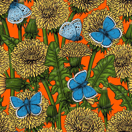 Dandelion medow — on orange