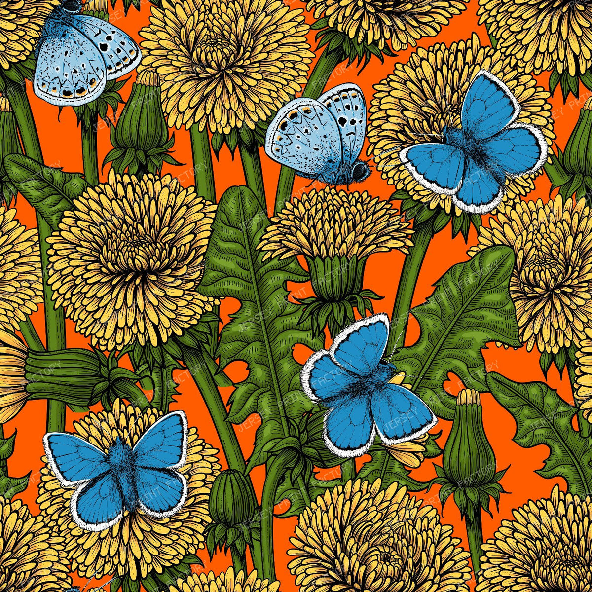Dandelion medow — on orange