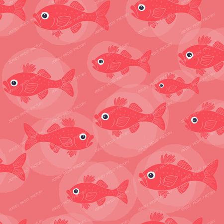 Cheeky Fish - Swim Your Own Way