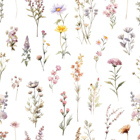 Colorful Flowers, Wildflowers, Garden Flowers