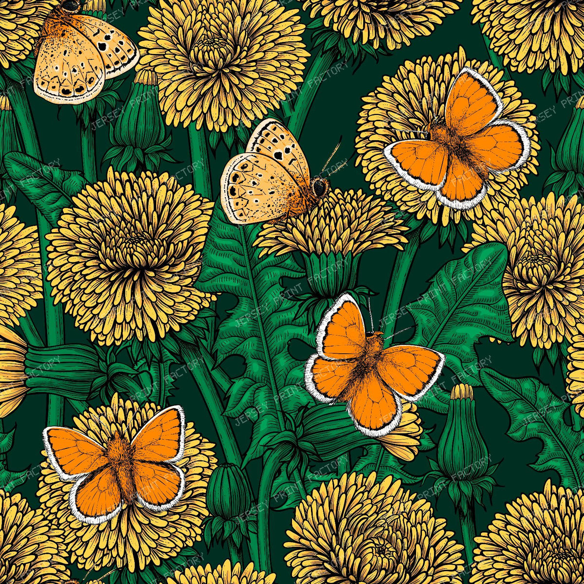 Dandelion medow — on green