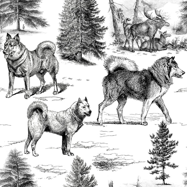 Alaskan Malamute and Northern Dogs in the Winter Landscape Earth Tones Monochromatic Toile Pattern — Black and White