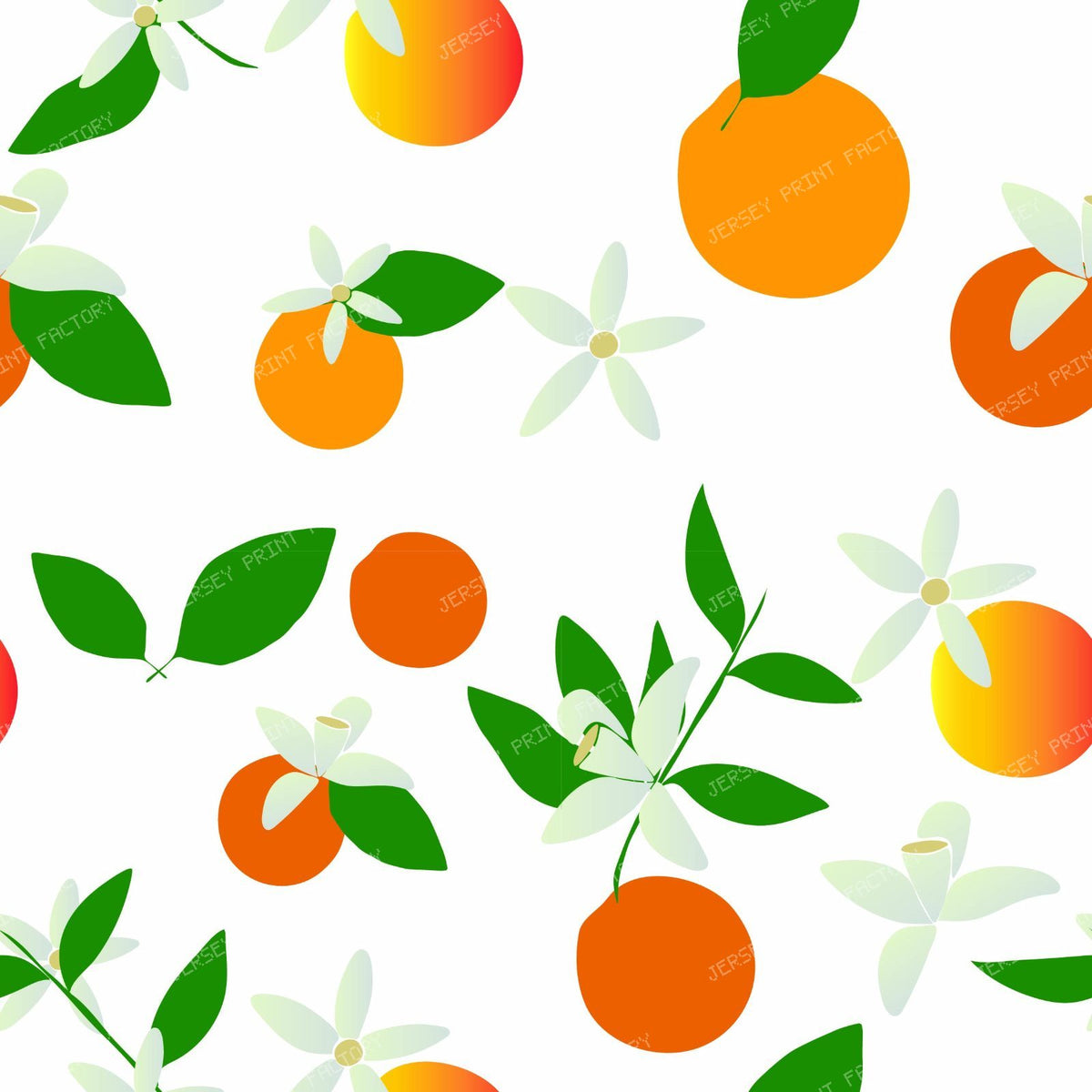 Mediterranean Oranges and Blossoms on White