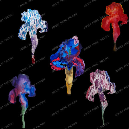 IRIS MIDNIGHT