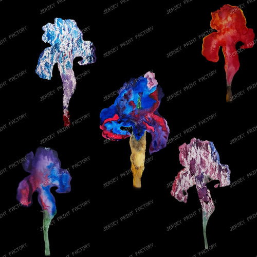 IRIS MIDNIGHT