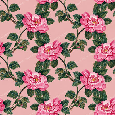 Pink Roses, Wild Roses, Pink Flowers, Floral Pattern, Boho — Pink 3