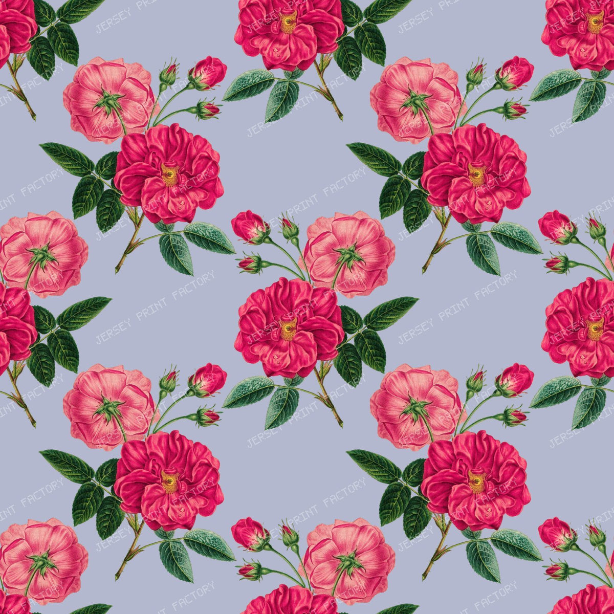 Pink Roses, Pink Flowers, Floral Pattern, Rosebud, Leaves — Pink 4