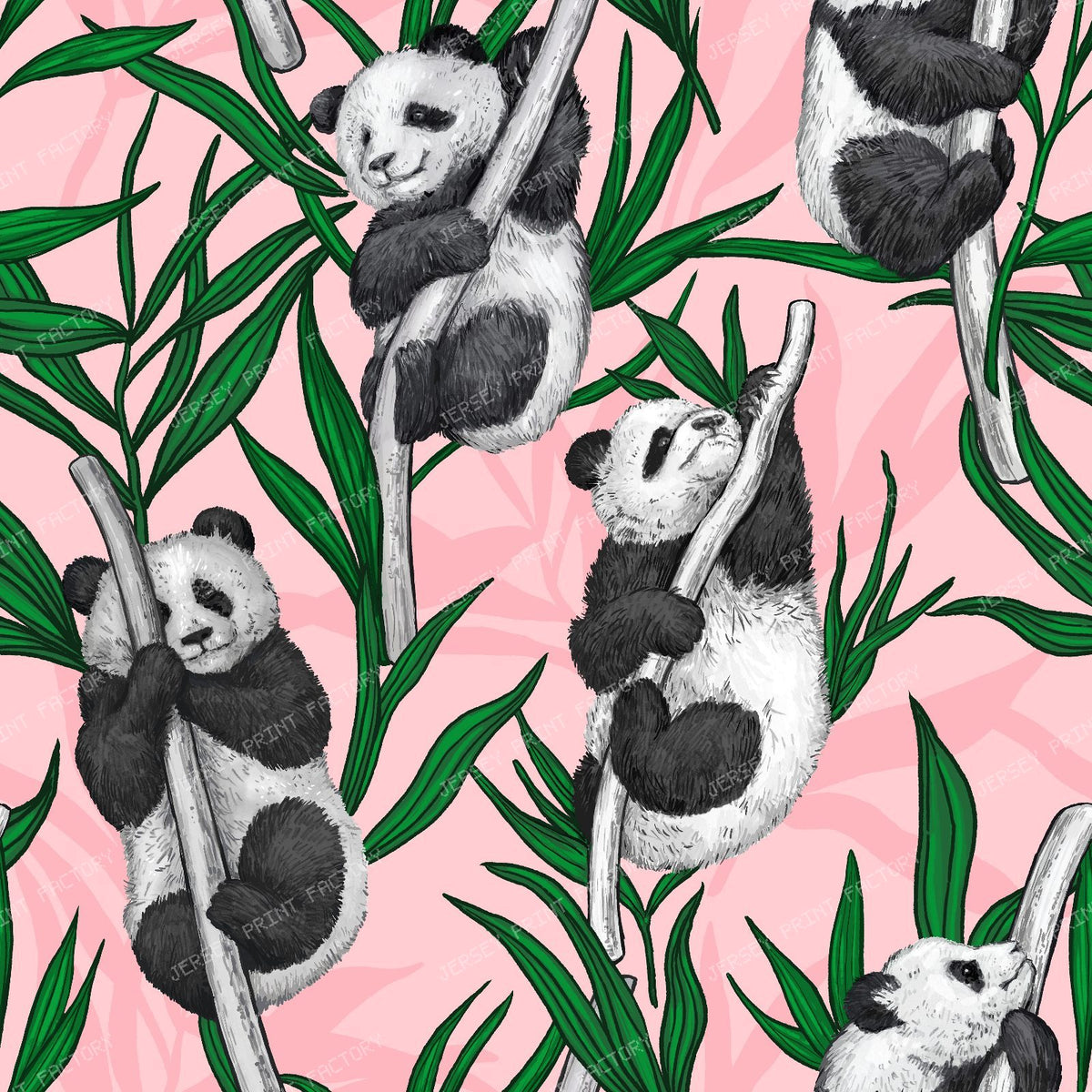 Panda Cubs — on pink
