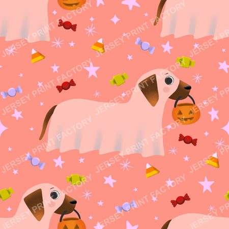 Trick Or Treat Dachshund Dog Halloweenie – Sheer Ghost On Peach