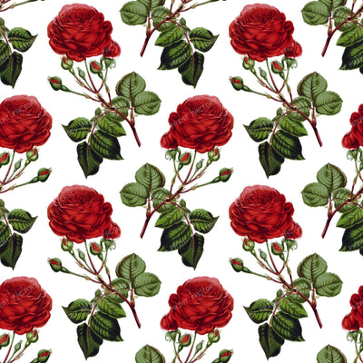 Red Roses, Red Flowers, Floral Pattern, Rosebud, Leaves