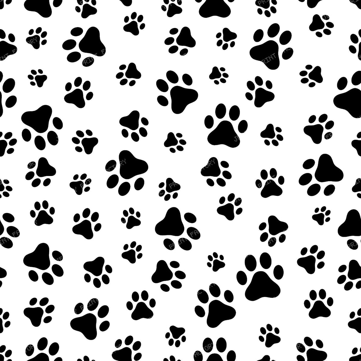 Pattern Of Paws, Dog Paws, Black and White