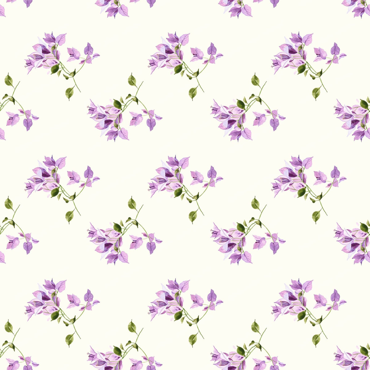 Mauve Bougainvillia - Cream
