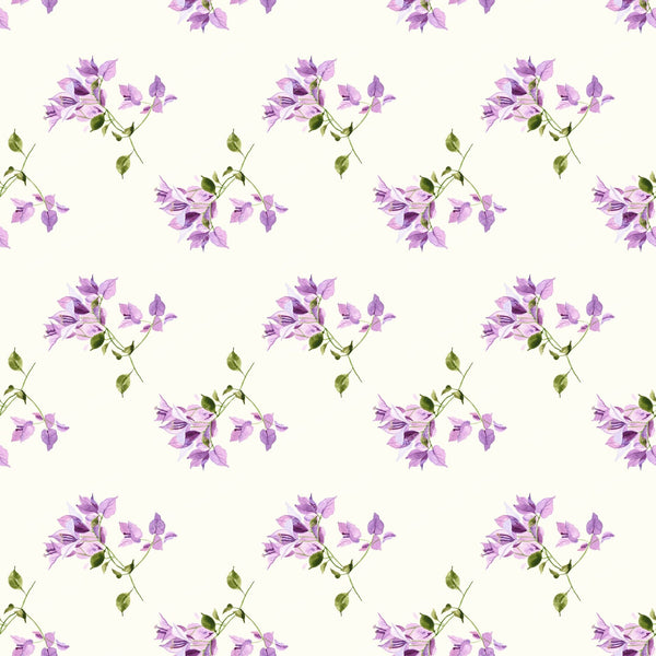 Mauve Bougainvillia - Cream