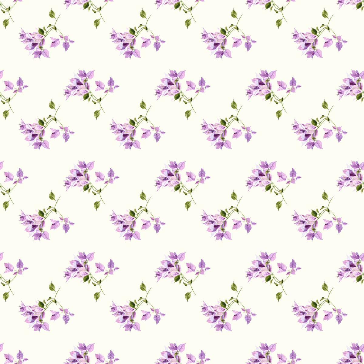 Mauve Bougainvillia - Cream
