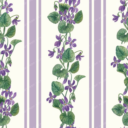 Stripes and violets in green and violet — violet
