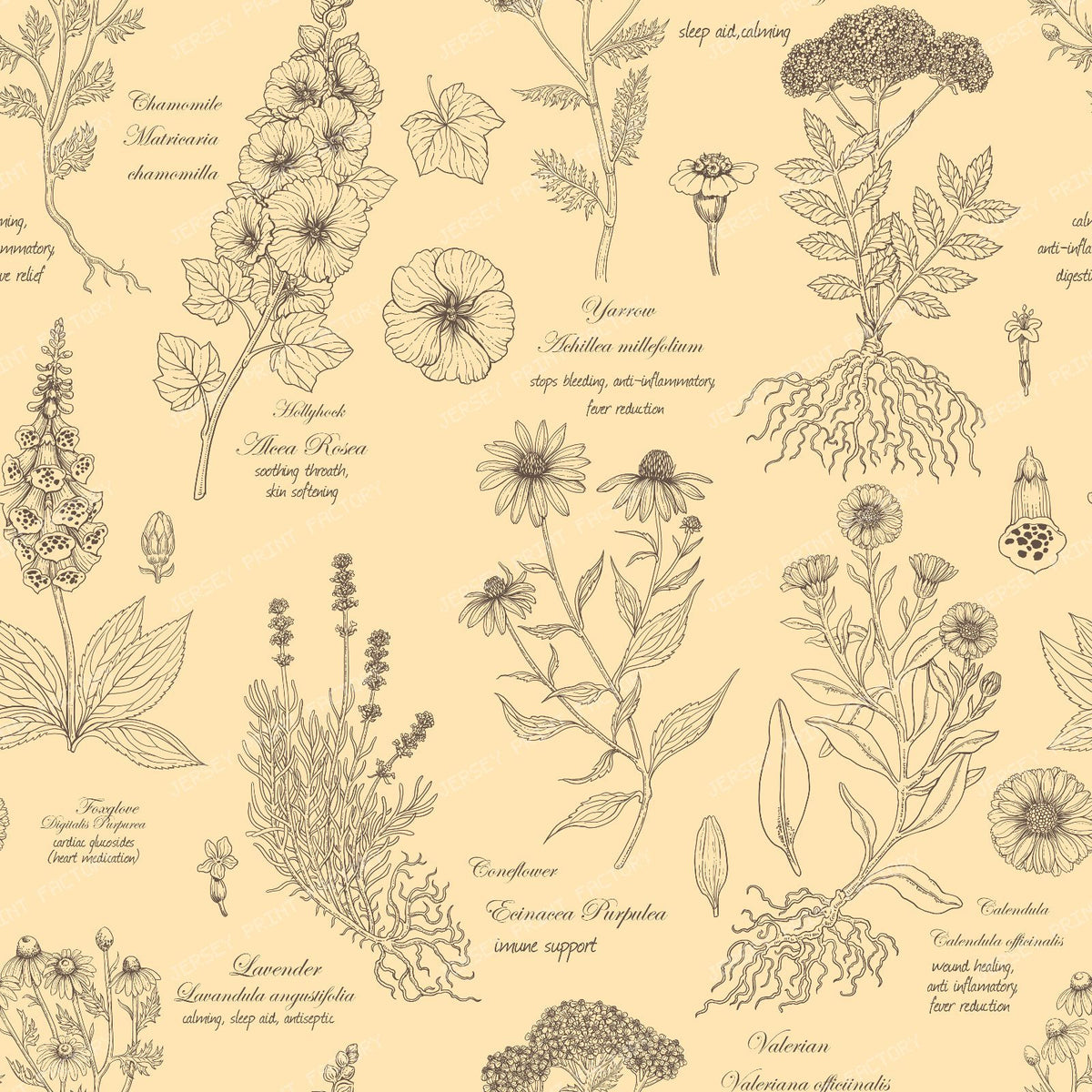 Wildflowers collage peach and umbre