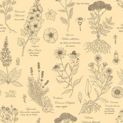 Wildflowers collage peach and umbre