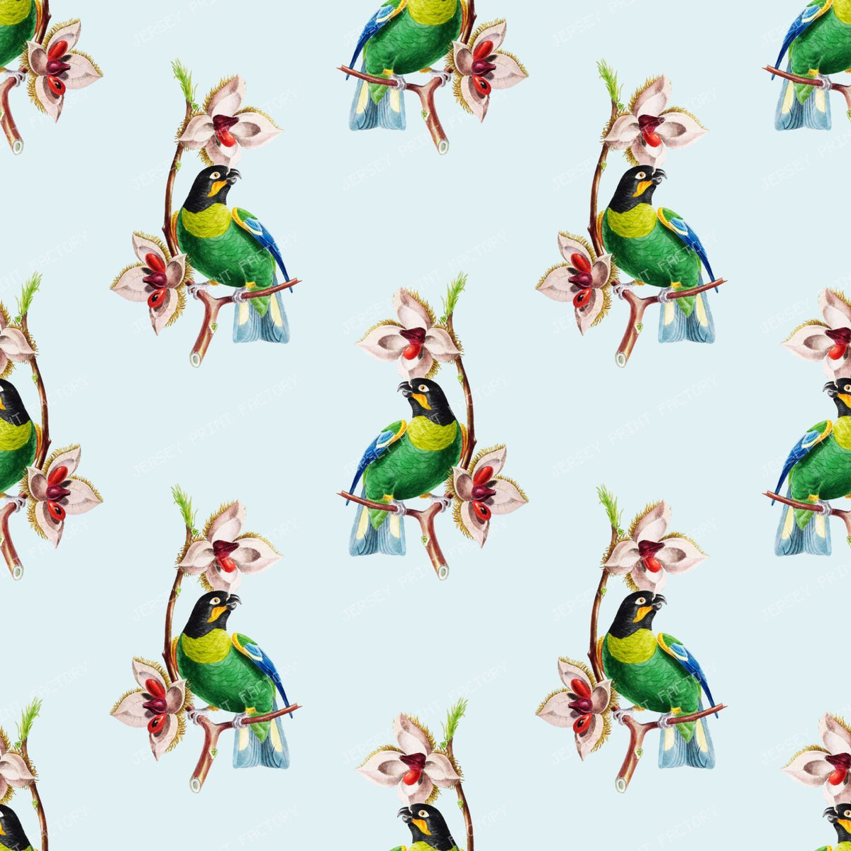 Pattern Of Parrots, Barraband's Parrot, Orange-cheeked Parrot — Blue