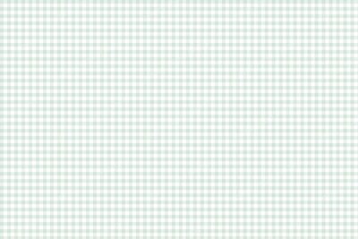 Classic gingham checks in mint and white