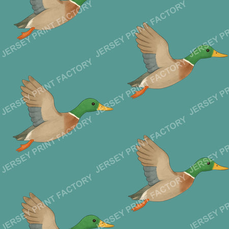Watercolour flying ducks on Teal