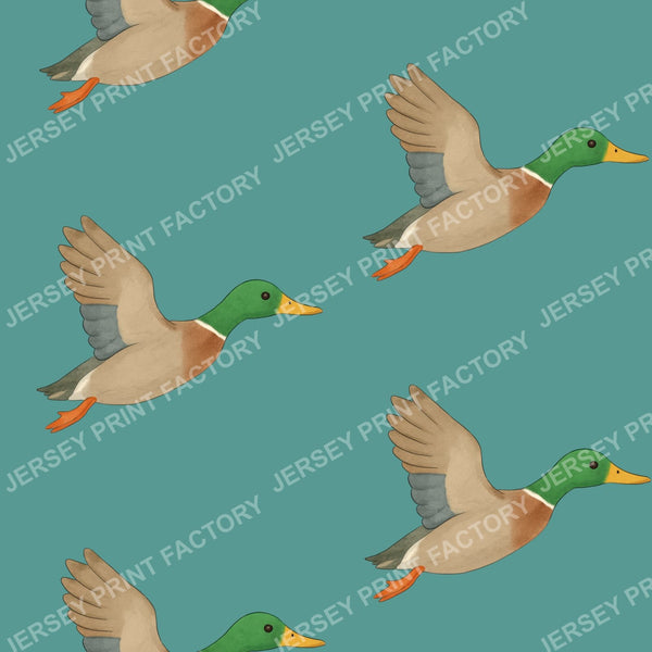 Watercolour flying ducks on Teal