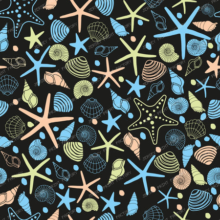 Colorful Seashells, Scallops, Conch Shells, Clam Shells, Starfish — Colorful 6