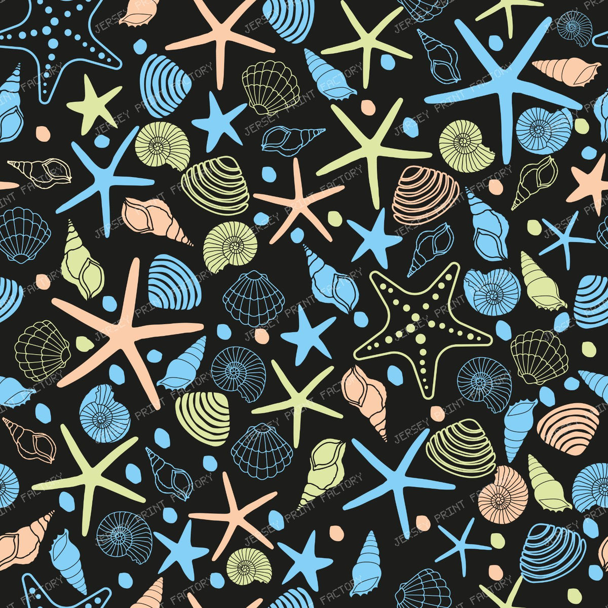 Colorful Seashells, Scallops, Conch Shells, Clam Shells, Starfish — Colorful 6