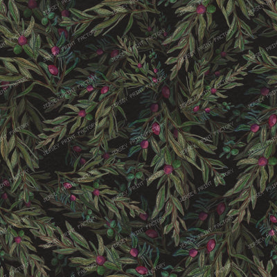 Olive Branch