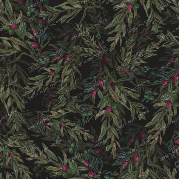 Olive Branch
