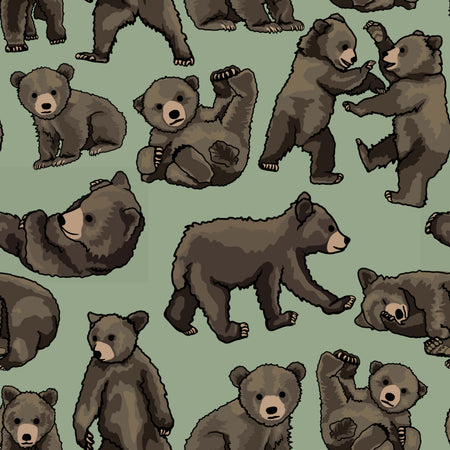 Baby Bears