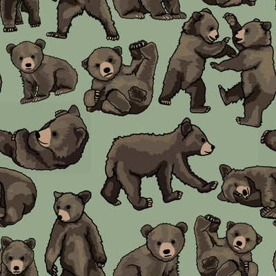 Baby Bears